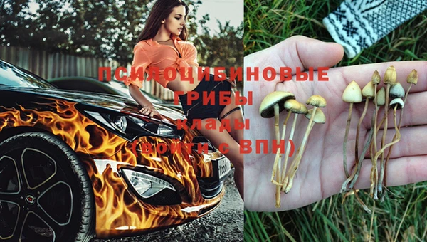 прущая мука Белоозёрский